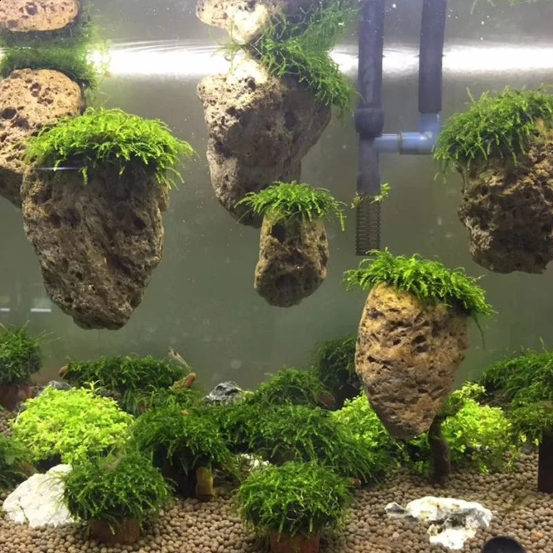 Suspended Stone with Moss for Fish Tank Aquarium Decorative Aquatic Plants Landscaping Natural Avatar Effect with Rope 241225