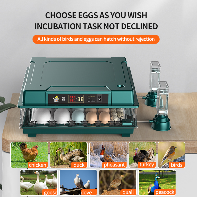 Egg Incubator Automatic Chicken 30 Egg Incubator, Days Display, Bring water bottle for Hatching Chicken Duck Quail Bird Eggs