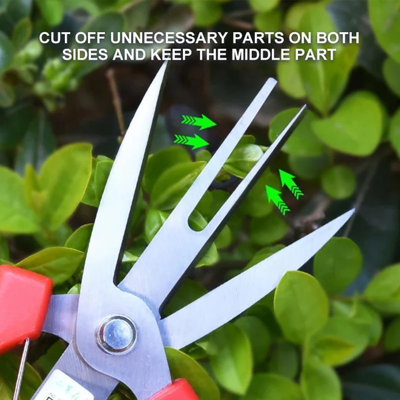 2pcs Garden Pruning Shears Branches Scissors Fruit Picking Flowers Trim Orchard Farm Trees Hand Gardening Tools 241223