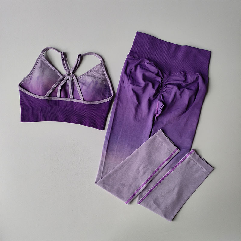 Gradual Change Women's Shock-Proof Running Stretched Fiess Vest Quick-Drying Sports Bra Gym Yoga Suit