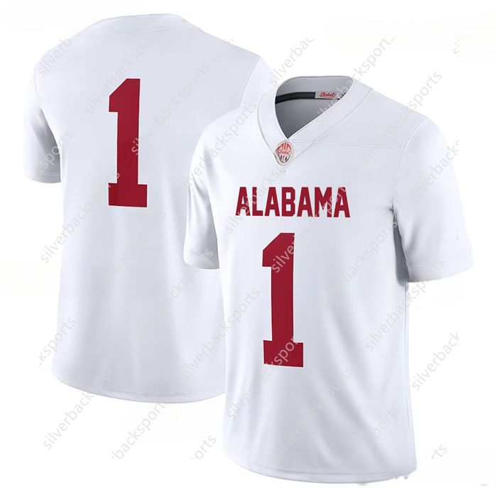 College Football Jerseys Stitched football jersey As Chrismas Gift Custom any name number for Men/Youth/Women