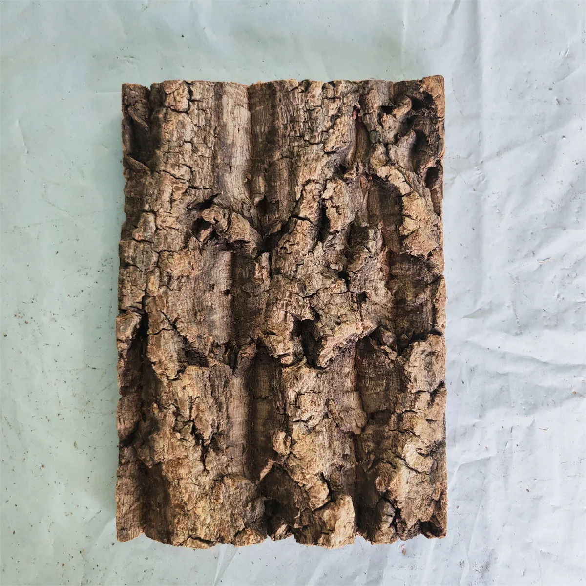 Natural Wood Aquarium Large Driftwood Bark Plant Aquarium Accessories for Fish Tank Tree Trunk Back Climber Reptile Lizard Cork 241225