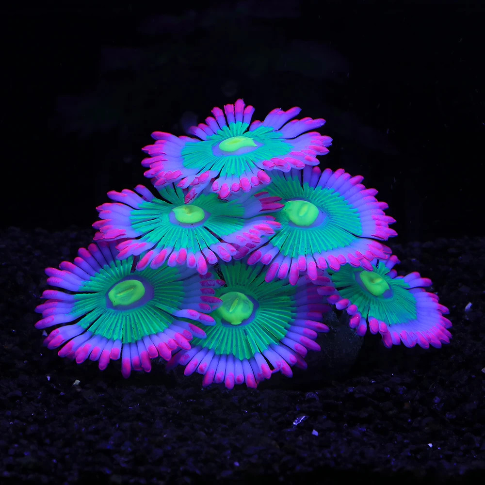 Silicone Simulated Sea Anemone Night Glow Effect Fish Tank Decoration Aquarium Underwater World Plant Decoration Accessories 241225