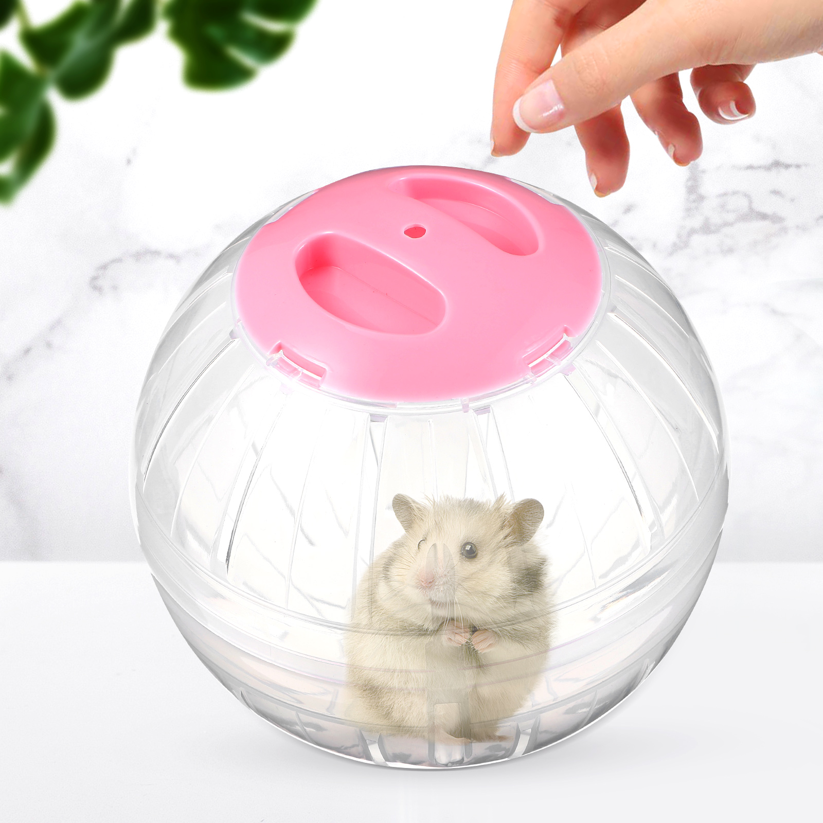 2 Pcs Guinea Pig Cage Hamster Sports Ball Toy Running Cages Dwarf Baby Toys for Babies