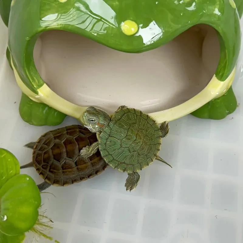 Turtle Pet House for Small Pet Items Ceramic Frog Cage for Lizard Tree Turtles Tree Frog Hamster Pet Products Reptiles