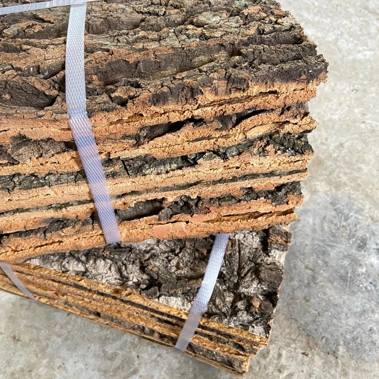 Natural Wood Aquarium Large Driftwood Bark Plant Aquarium Accessories for Fish Tank Tree Trunk Back Climber Reptile Lizard Cork 241225