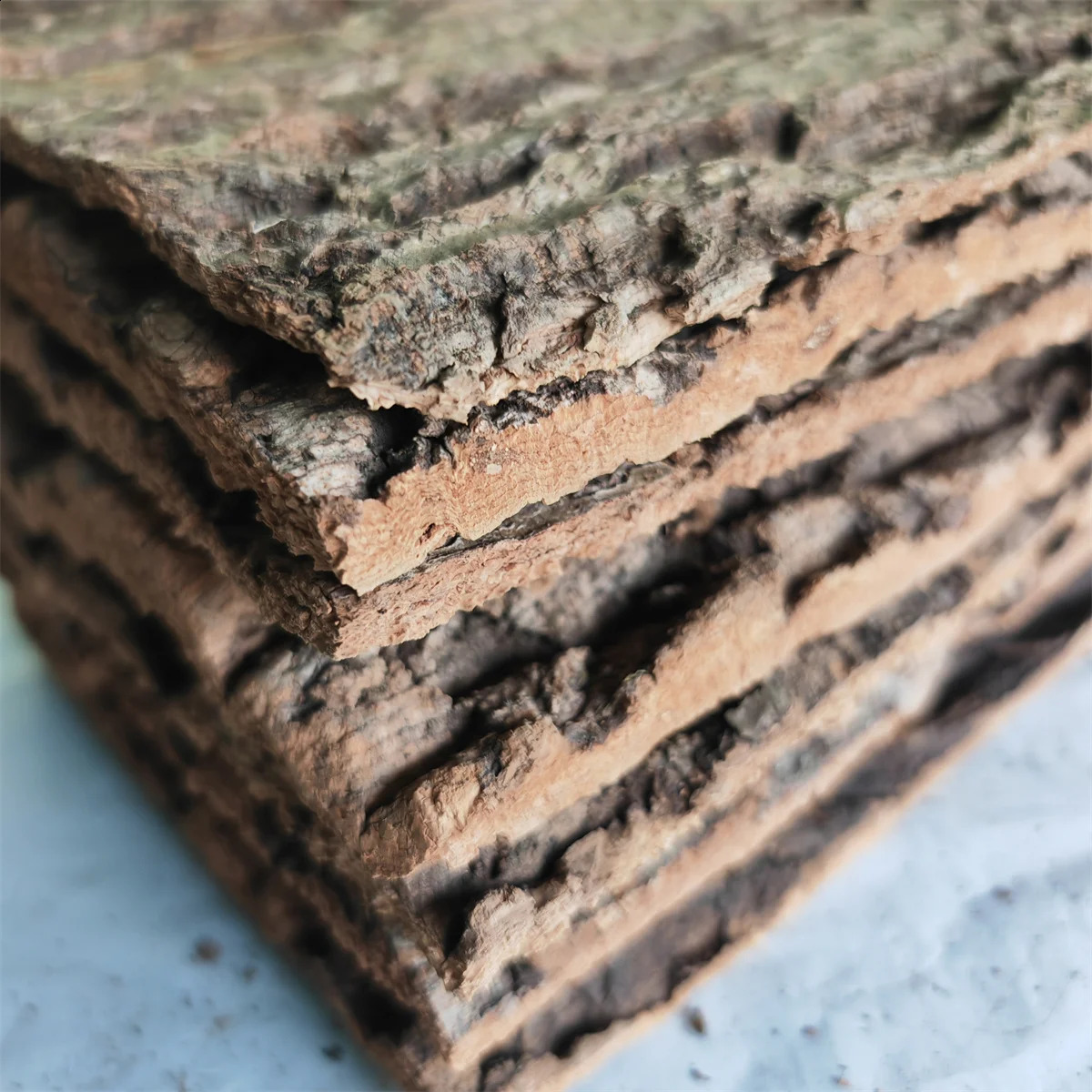 Natural Wood Aquarium Large Driftwood Bark Plant Aquarium Accessories for Fish Tank Tree Trunk Back Climber Reptile Lizard Cork 241225