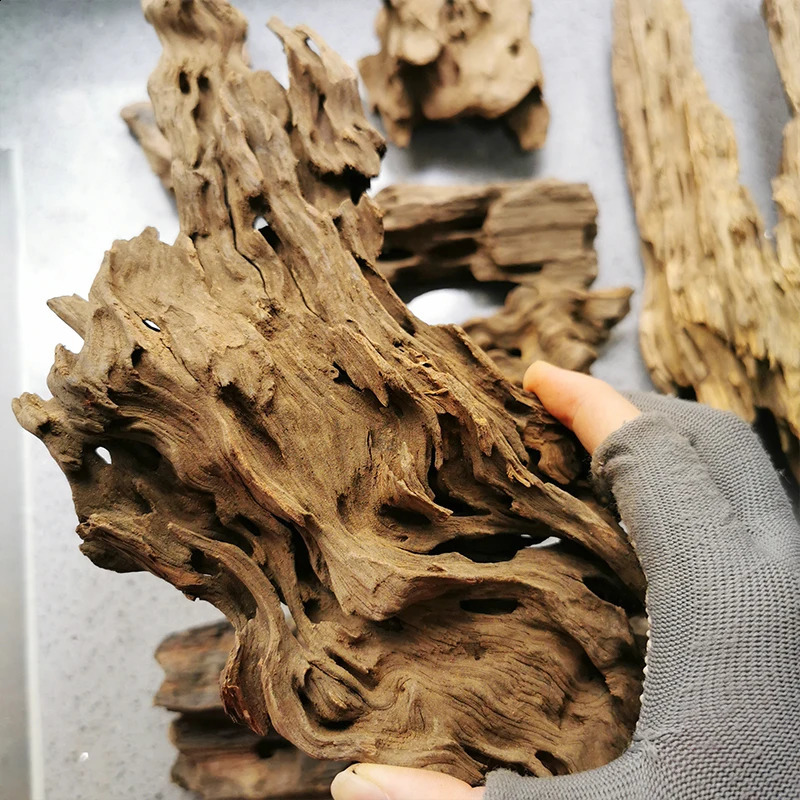 Fish Tank Shrimp wood aquarium wood big Tree Trunk Wood Fish Driftwood Landscape Natural Aquarium Plant Aquario Decor 241225