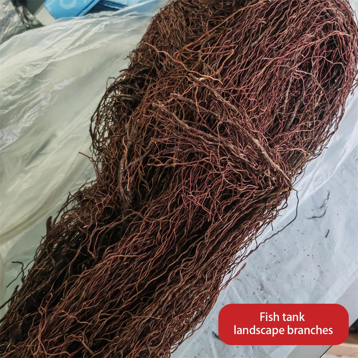 natural wood aquarium acuario aquarium tree root branch fish tank tree trunk Ecological rainforest landscape branches Plant 241225