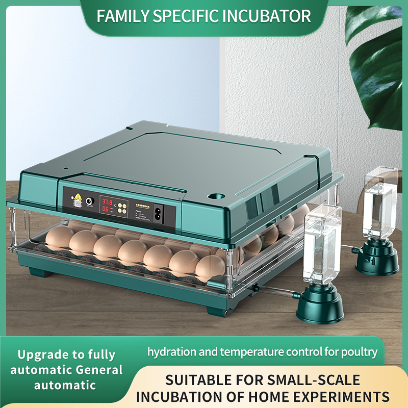 Egg Incubator Automatic Chicken 30 Egg Incubator, Days Display, Bring water bottle for Hatching Chicken Duck Quail Bird Eggs