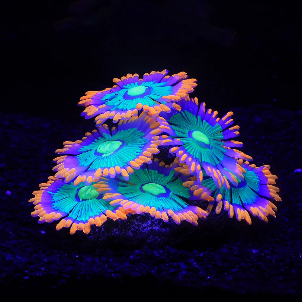 Silicone Simulated Sea Anemone Night Glow Effect Fish Tank Decoration Aquarium Underwater World Plant Decoration Accessories 241225