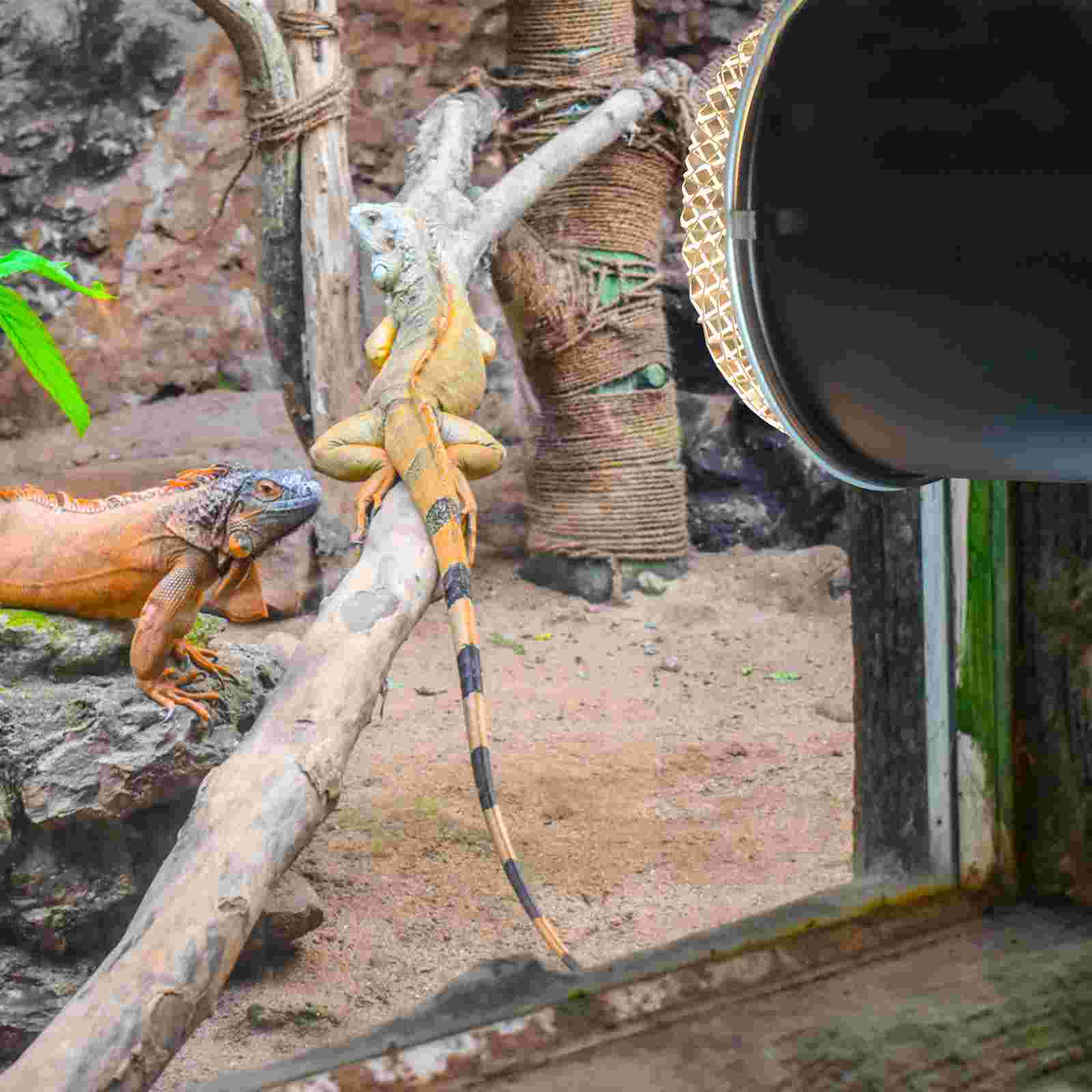 Simple Grille Animals Reptile Light Dome Cover Stainless Steel Heat Lamp Heating Protective