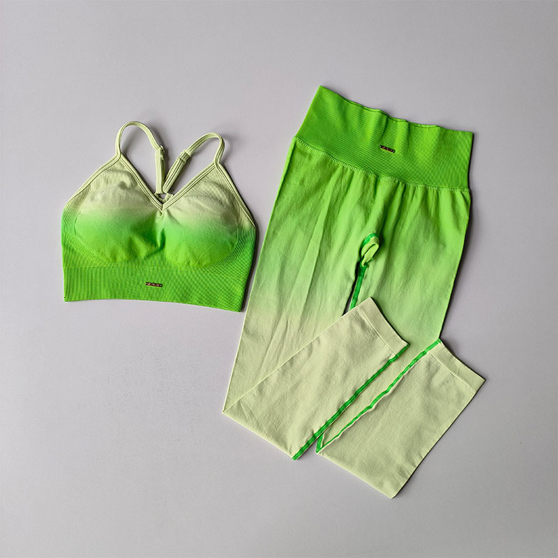Gradual Change Women's Shock-Proof Running Stretched Fiess Vest Quick-Drying Sports Bra Gym Yoga Suit