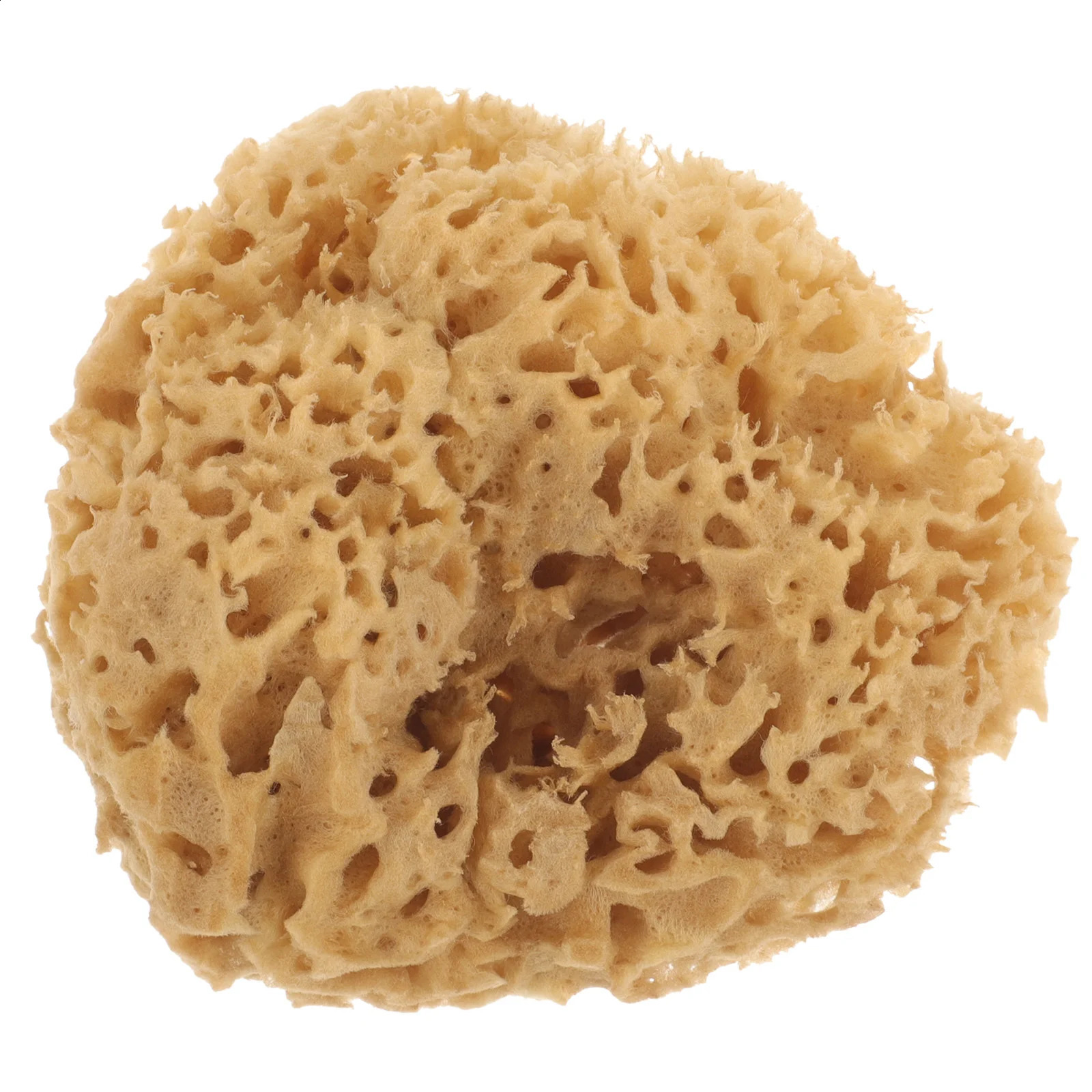 Greek Natural Sponge Shower Accessory Skin Cleaning Scrubber Sponges Exfoliating Bathing Ball High Quality Take 241226