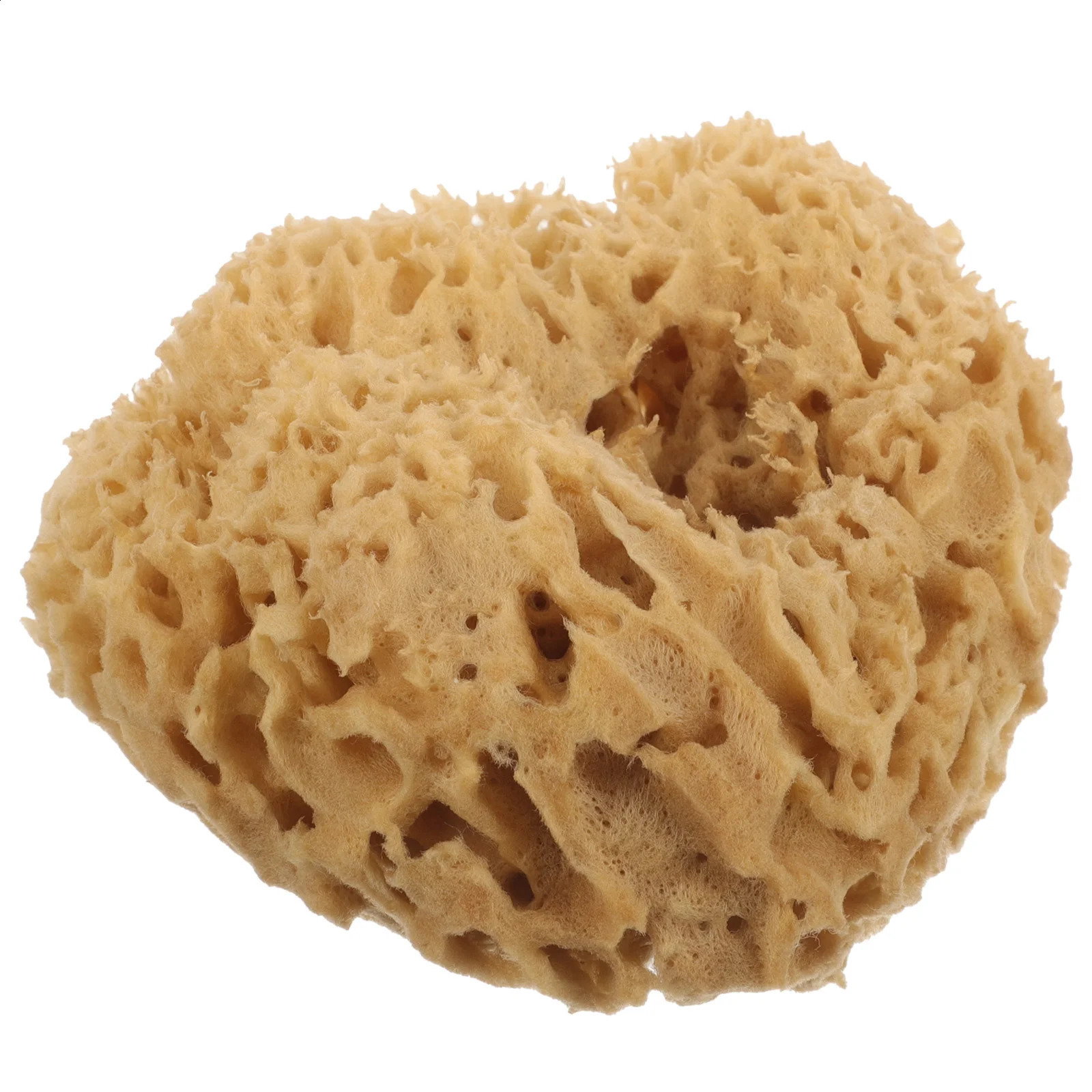 Greek Natural Sponge Body Exfoliating Sponge Loofah Sponges Household Honeycomb Scrubber Shower Bathing Skin Wash 241226