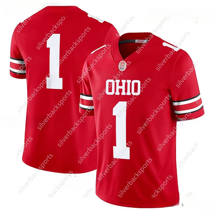 College Football Jerseys Stitched football jersey As Chrismas Gift Custom any name number for Men/Youth/Women