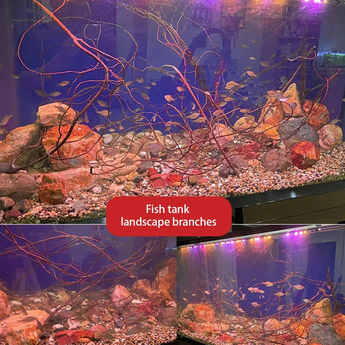 decoration aquarium natural wood aquarium tree root branch fish tank tree trunk Ecological rainforest landscape branches Plant 241225