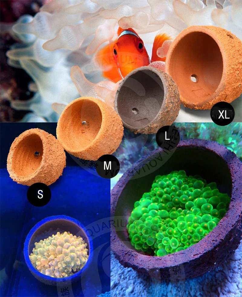 Anemone Nest Prevent Running Away Clay and Live Rock Made for Aquarium Reef Tank Aquarium Plants 241225