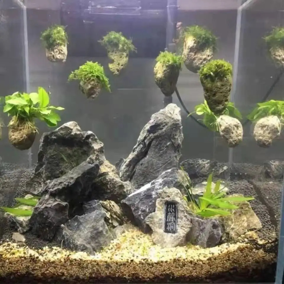 Suspended Stone with Moss for Fish Tank Aquarium Decorative Aquatic Plants Landscaping Natural Avatar Effect with Rope 241225