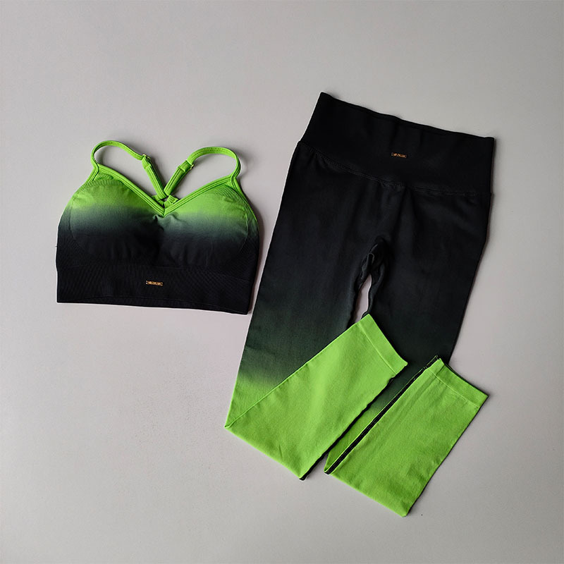 Gradual Change Women's Shock-Proof Running Stretched Fiess Vest Quick-Drying Sports Bra Gym Yoga Suit