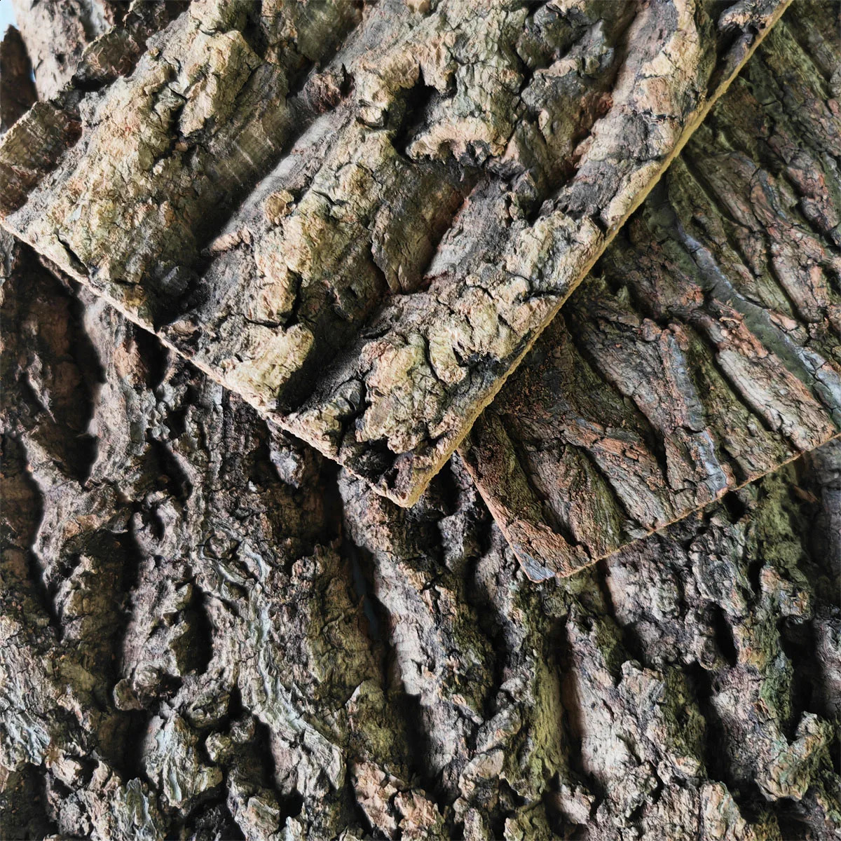 Natural Wood Aquarium Large Driftwood Bark Plant Aquarium Accessories for Fish Tank Tree Trunk Back Climber Reptile Lizard Cork 241225