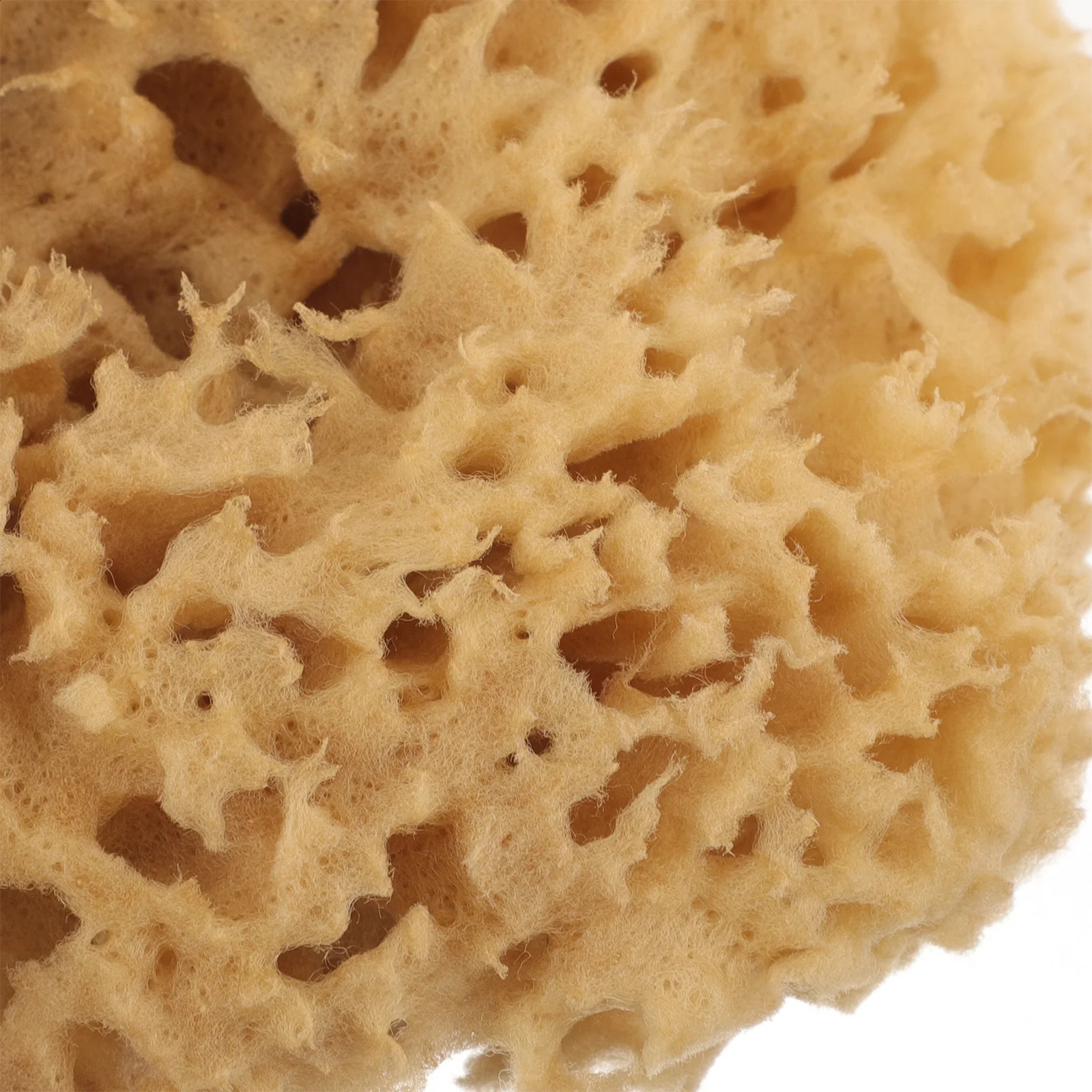 Greek Natural Sponge Body Exfoliating Sponge Loofah Sponges Household Honeycomb Scrubber Shower Bathing Skin Wash 241226