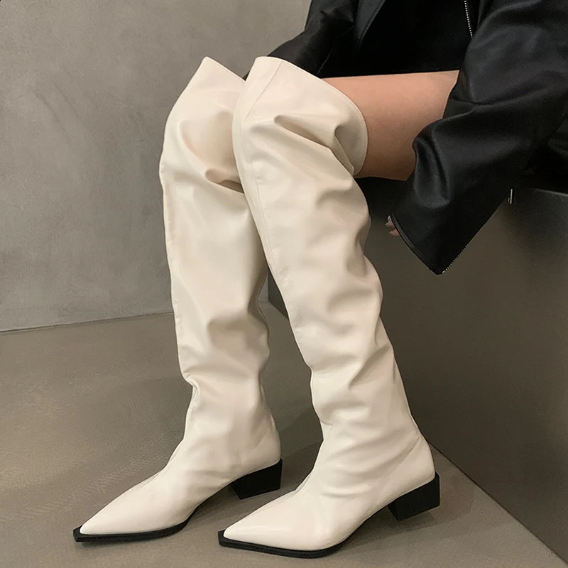 Over The Knee Women Chelsea Boots Pointed Toe Mid Heels Shoes Winter Classic Motorcycle Boots Goth Lady Chaussures 241226