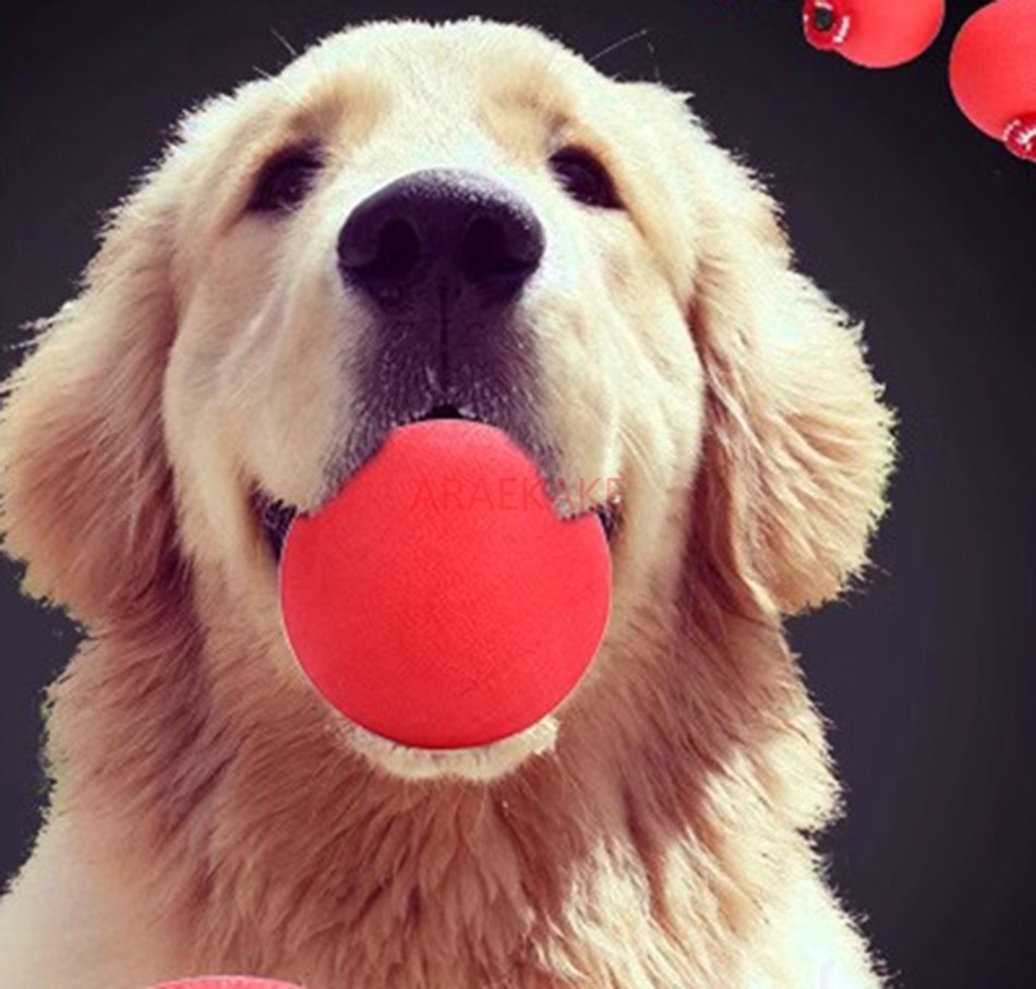 Dog Bite Training Solid Large Rubber Elastic Ball Interactive Teeth Grinding Toy Dog Training Ball Bite Ball