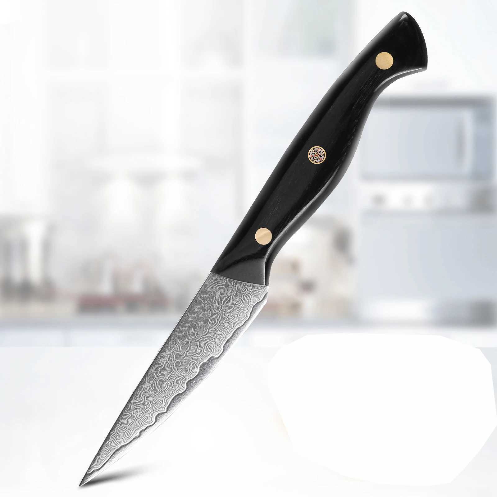 3.5-inch Paring knife professional 67 layer Damascus steel kitchen chef knife super sharp peeling fruit knife Y241227