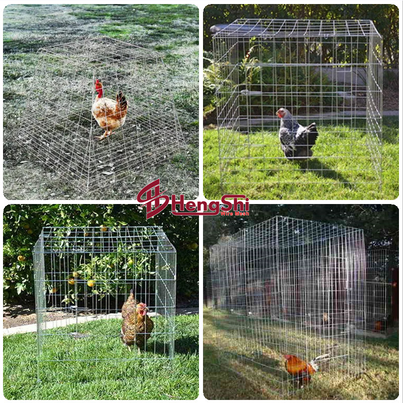 Game Fowl Sabong Scratch Pen Cage for Chicken Rooster