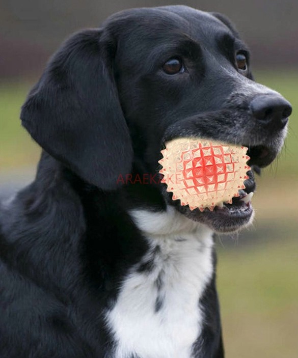 Pet Supplies Teeth Grinding Dog Toy TPE Anti Bite Interactive Training Anti Bite Dog Bite Play Flash Elastic Ball