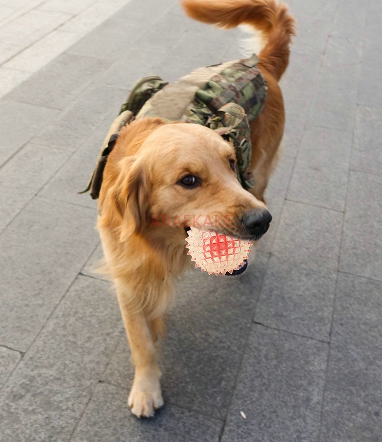 Pet Supplies Teeth Grinding Dog Toy TPE Anti Bite Interactive Training Anti Bite Dog Bite Play Flash Elastic Ball