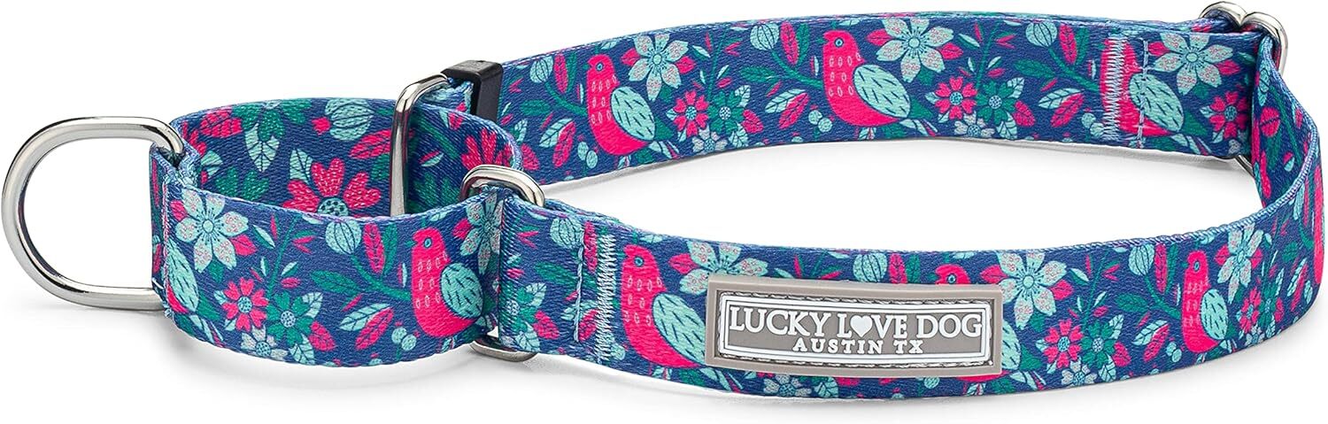Lucky Love Dog, Fantastical bird and horse Dingell dog collar, bright pink, mint, blue flower medium anti slip dog collar M, Carriebelle Mart