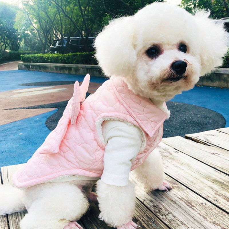 Cute Rabbit Ear-Embellished Quilted Pet Gilet - Soft and Warm Winter Clothing for Pets