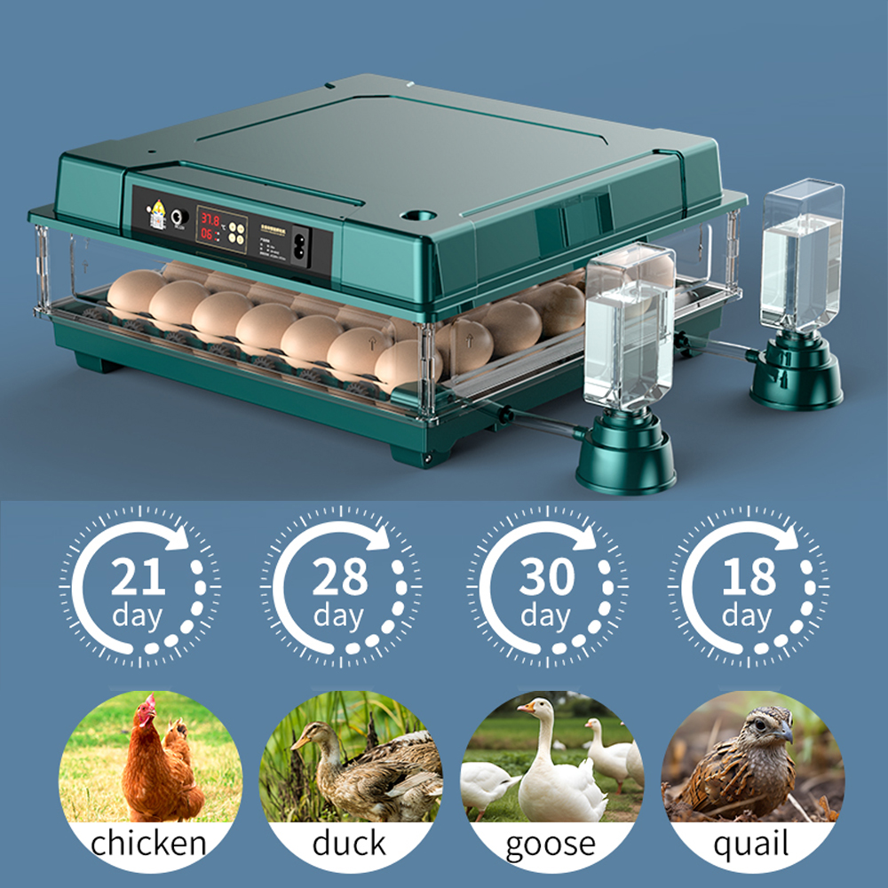 Egg Incubator Automatic Chicken 30 Egg Incubator, Days Display, Bring water bottle for Hatching Chicken Duck Quail Bird Eggs