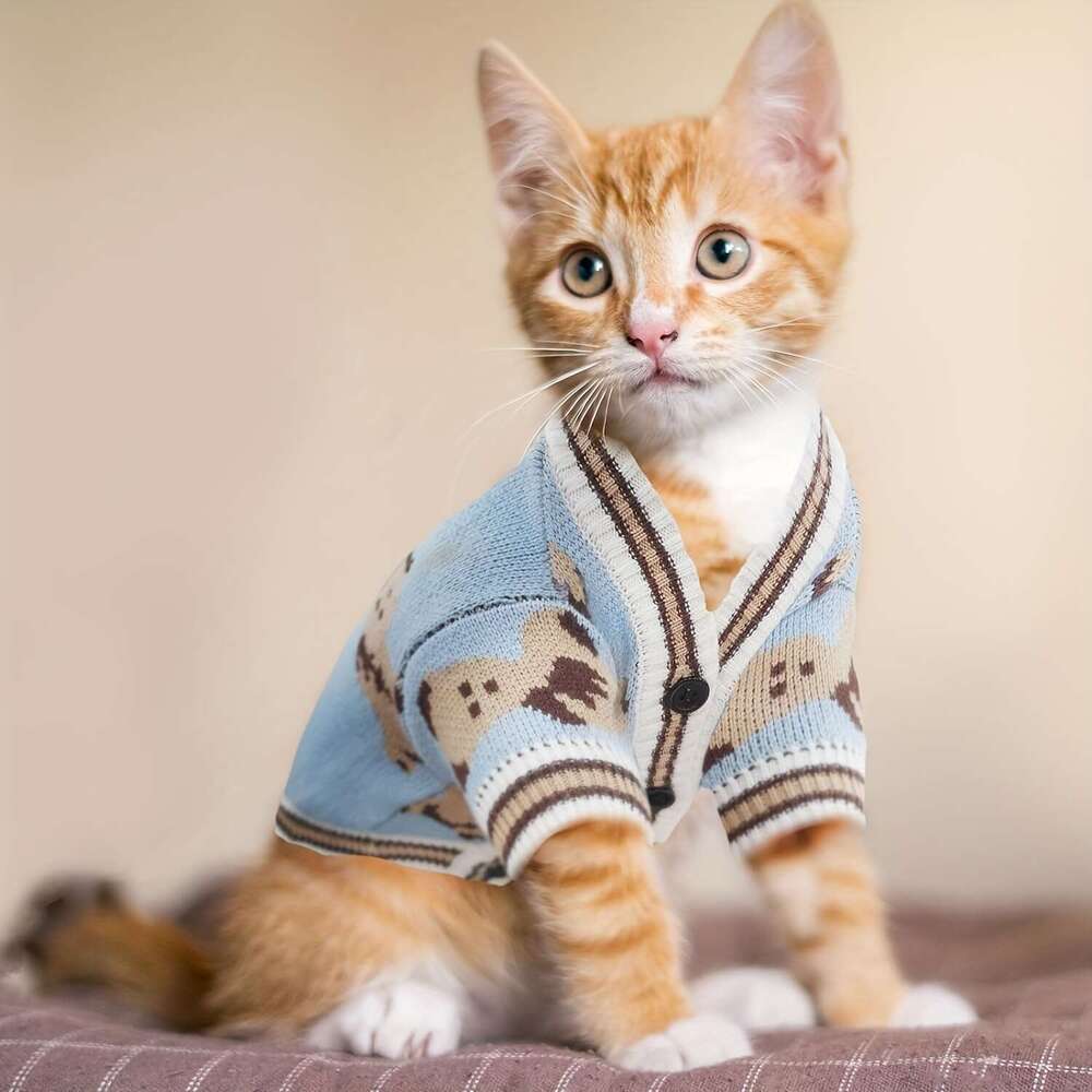 Cartoon Graphic Sweaters Cute Bear Cardigans Clothes Dogs, Puppy Knitting Outfits, Coats, Warm Pet Clothes, Soft Knitwear Apparel For Small Dogs Perfe