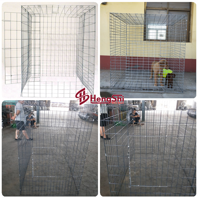 Game Fowl Sabong Scratch Pen Cage for Chicken Rooster