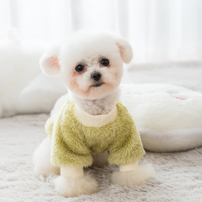 Small Dinosaur Cute Pet Clothes Autumn Teddy corgi Beard Small Dog Puppy Cat Dog Autumn Winter Clothes