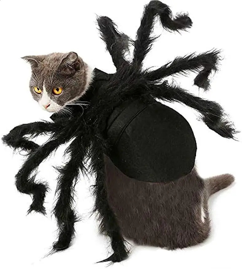 Dog Cat Spider Costume for Halloween Party Decoration Halloween Cosplay Costumes for Puppy Cat Dress Up Accessories 241225
