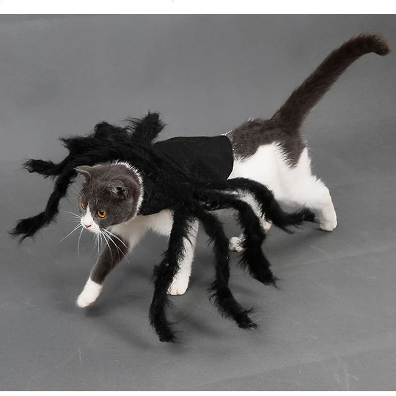 Halloween Spider Costume for Dog Cat Halloween Pet Costume Party Supply Spider Cosplay Costumes for Small Medium Dogs and Cats 241225
