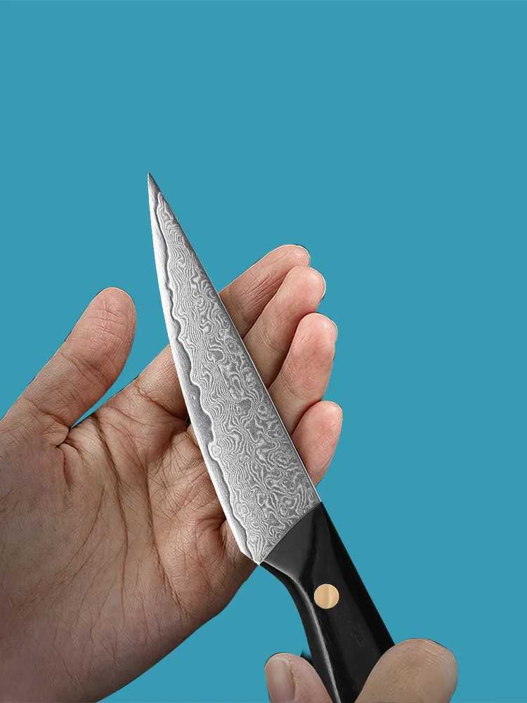 3.5-inch Paring knife professional 67 layer Damascus steel kitchen chef knife super sharp peeling fruit knife Y241227