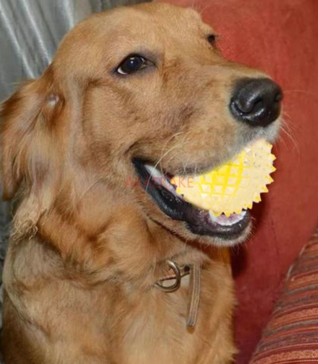 Pet Supplies Teeth Grinding Dog Toy TPE Anti Bite Interactive Training Anti Bite Dog Bite Play Flash Elastic Ball