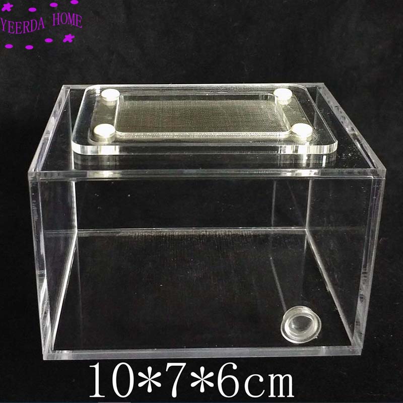 10x7x6cm Ant Reptile Box with Breathable Net Feeding Box ant nest active area ,ant farm acryl box