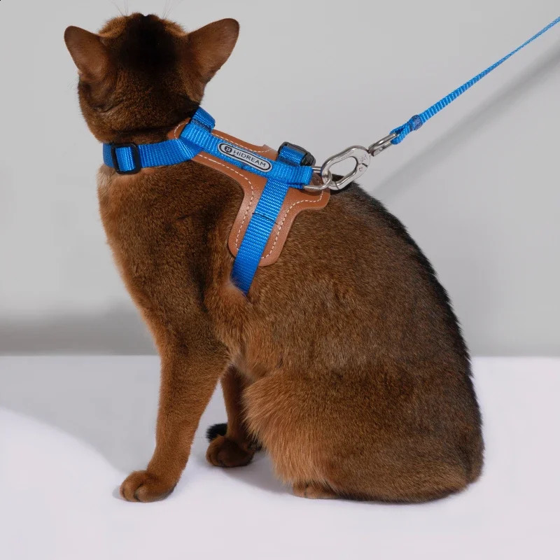HiDREAM Adjustable er Harness and Leash Set for Cat Feather Durable High Quality Fashion Pattern Kitten Accessories 250106