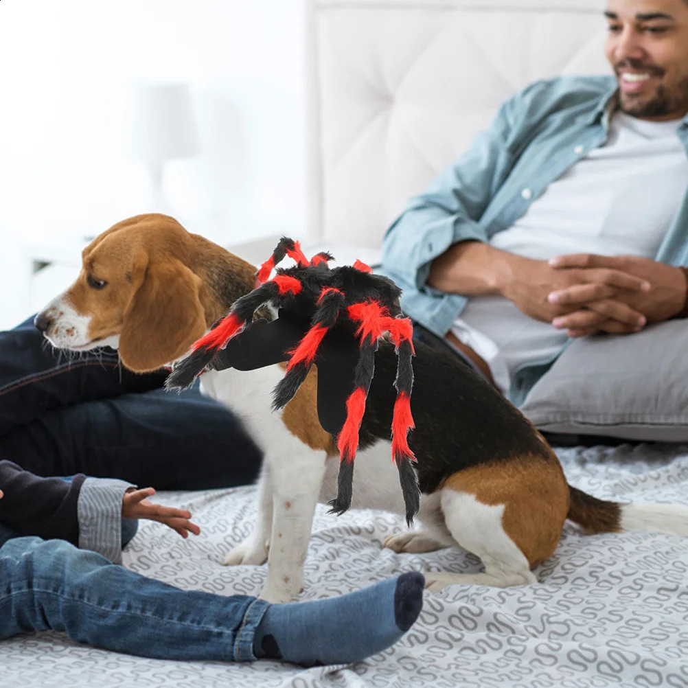 Halloween Decor Christmas Chest and Back Creative Cat Dog Spider Costume 53x38x18cm Small Pet Dress up Child 241225