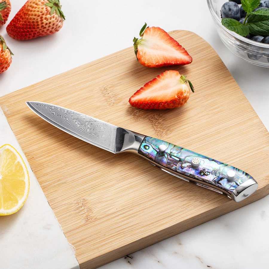 Damascus steel peeling knife professional chef knife Abalon shell handle Paring knife 3.5 67 layers Y241227