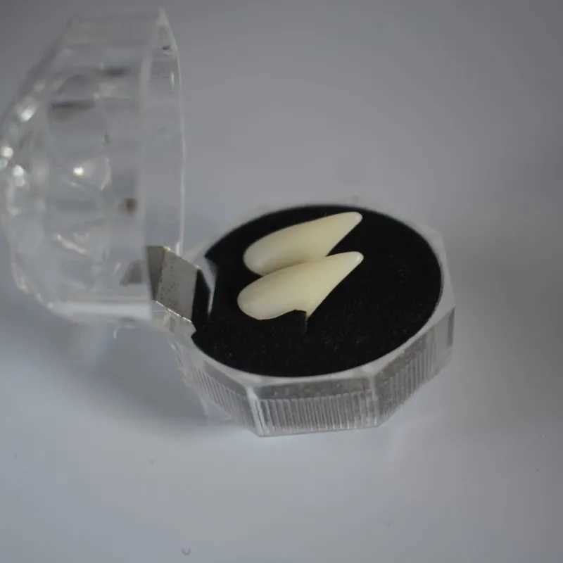 1 Pair Halloween Vampire Teeth Fangs Dentures Prop Party Costume DIY Cosplay Props Decor False Teeth Adult Kids Resin Fangs 2023 W241227