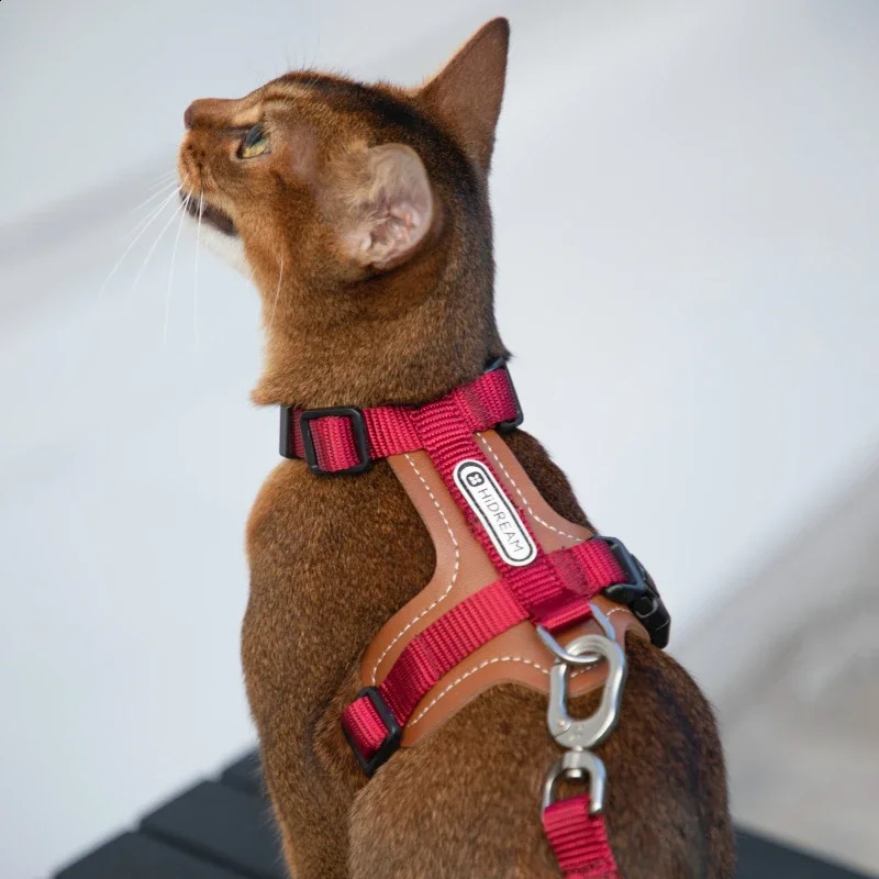 HiDREAM Adjustable er Harness and Leash Set for Cat Feather Durable High Quality Fashion Pattern Kitten Accessories 250106