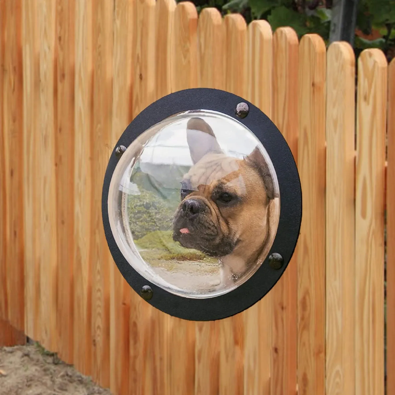Dog Window For Fence Porthole Window Pet Acrylic Dome Dog Fence Peek Window Pet Supply Clear View Dome Pet Peek