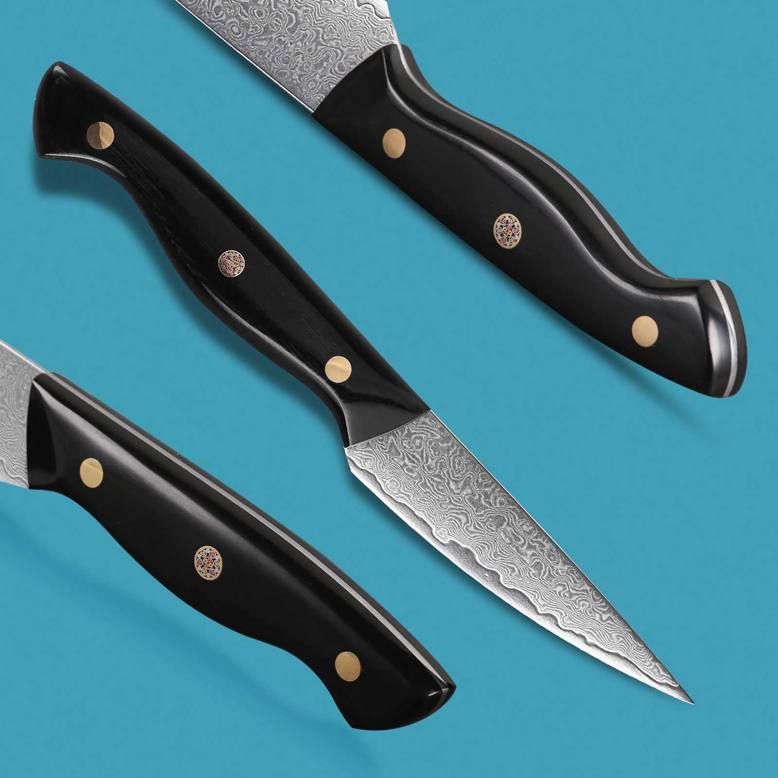 3.5-inch Paring knife professional 67 layer Damascus steel kitchen chef knife super sharp peeling fruit knife Y241227